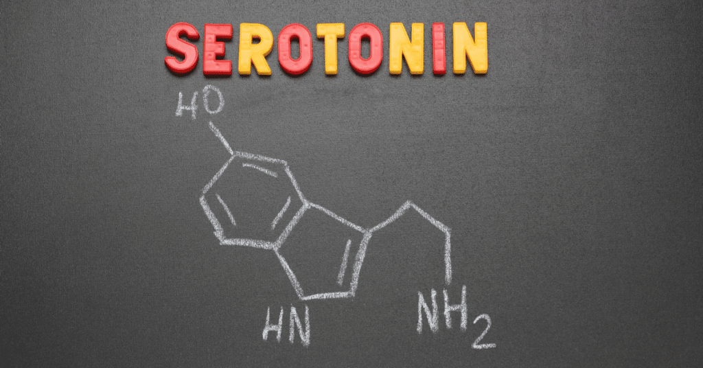 D.O.S.E. – The Happiness Brain Chemicals: Serotonin